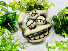 Load image into Gallery viewer, Hobnoggins LeStrange