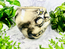 Load image into Gallery viewer, Hobnoggins LeStrange