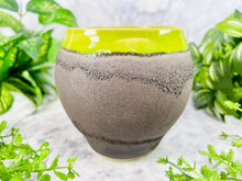 Load image into Gallery viewer, Queen of the Stone Sage