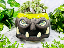 Load image into Gallery viewer, Blocky Rocks Jaws Jimmy