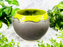 Load image into Gallery viewer, Blocky Rocks Jaws Jimmy