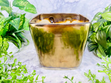 Load image into Gallery viewer, The Giving Tree's Nephew's Son In-Law