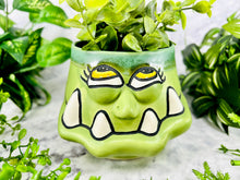 Load image into Gallery viewer, Ferny Luscious