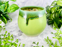 Load image into Gallery viewer, Ferny Luscious