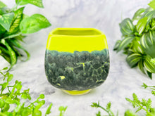 Load image into Gallery viewer, Be There and Be Square