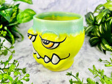 Load image into Gallery viewer, Oregano Boozly