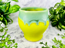 Load image into Gallery viewer, Oregano Boozly