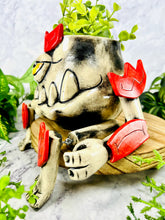 Load image into Gallery viewer, Crimson Shrub Sage