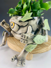 Load image into Gallery viewer, Ashroot Guardian
