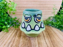 Load image into Gallery viewer, Parsley Parsnips