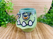 Load image into Gallery viewer, Parsley Parsnips