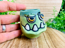 Load image into Gallery viewer, Parsley Parsnips