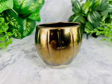 Load image into Gallery viewer, Sitting Bullion