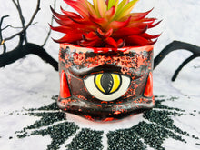 Load image into Gallery viewer, Magnanimous Dragoons