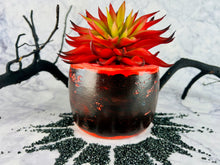 Load image into Gallery viewer, Magnanimous Dragoons