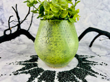 Load image into Gallery viewer, Lizard Wizard