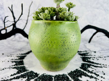 Load image into Gallery viewer, Snake Eyes