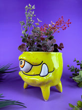 Load image into Gallery viewer, Sunshine Cyclops