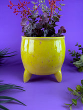 Load image into Gallery viewer, Sunshine Cyclops
