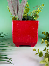 Load image into Gallery viewer, Red Hot Chili Planter