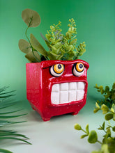 Load image into Gallery viewer, Red Hot Chili Planter
