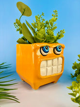 Load image into Gallery viewer, Julius Orange