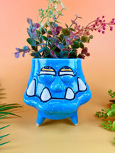 Load image into Gallery viewer, Babe the Blue