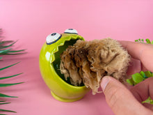 Load image into Gallery viewer, Greenguts Spongebank