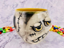 Load image into Gallery viewer, New Kittens