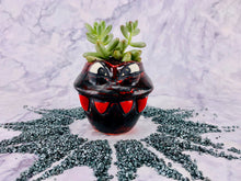 Load image into Gallery viewer, Lil' Pyro