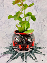 Load image into Gallery viewer, Pyraxia Foliagious