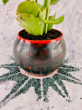 Load image into Gallery viewer, Pyraxia Foliagious