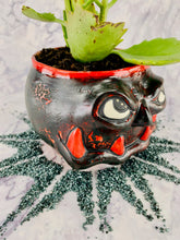 Load image into Gallery viewer, Pyraxia Foliagious