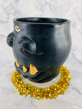 Load image into Gallery viewer, Midnight in the Garden