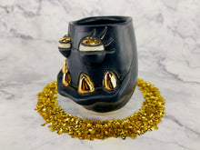 Load image into Gallery viewer, Stargazer Sweetpea