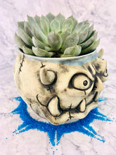 Load image into Gallery viewer, Johnny C. Appleseed