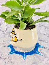 Load image into Gallery viewer, Brawny Snagglefern