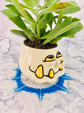 Load image into Gallery viewer, Brawny Snagglefern