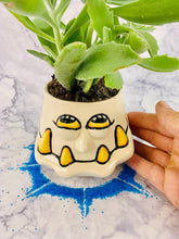 Load image into Gallery viewer, Brawny Snagglefern