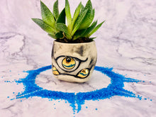 Load image into Gallery viewer, Lil' John Planter