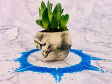 Load image into Gallery viewer, Lil' John Planter