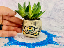 Load image into Gallery viewer, Lil' John Planter