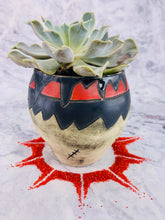 Load image into Gallery viewer, Rambizzle Plantizzle