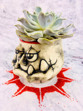 Load image into Gallery viewer, Commander Pots'n Plants