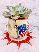 Load image into Gallery viewer, Commander Pots'n Plants