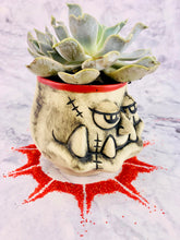 Load image into Gallery viewer, Commander Pots'n Plants