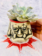 Load image into Gallery viewer, Commander Pots'n Plants