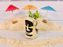 Load image into Gallery viewer, Mana Planta