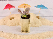 Load image into Gallery viewer, Tiki Bon Bon