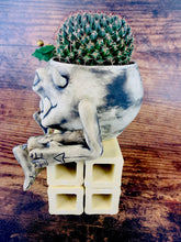 Load image into Gallery viewer, Ebenezer Grumpskin